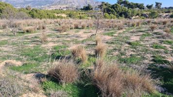 Terreno de 8000m2 con agua de riego, cerca de Villajoyosa. photo 0