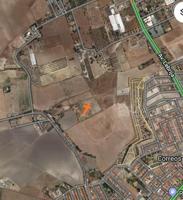 Terreno en venta en El Cuervo de Sevilla de 10000 m2 photo 0