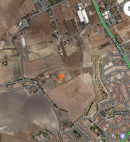 Terreno en venta en El Cuervo de Sevilla de 10000 m2 photo 0