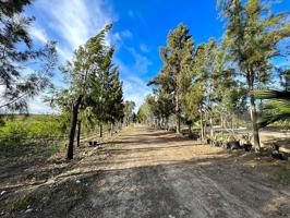 Casa Rústica en venta en Lebrija de 450 m2 photo 0