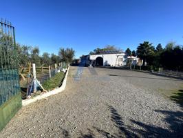 SE VENDE FINCA RUSTICA AL PAGO DE NORIETA (LEBRIJA)II photo 0