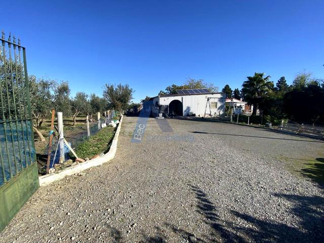 SE VENDE FINCA RUSTICA AL PAGO DE NORIETA (LEBRIJA)II photo 0