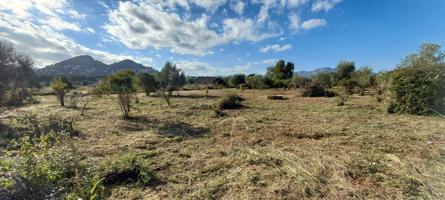 Terrenos Edificables En venta en Dénia photo 0