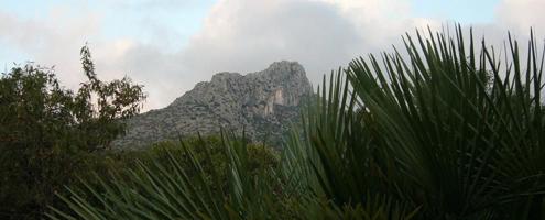 Terrenos Edificables En venta en Tormos photo 0