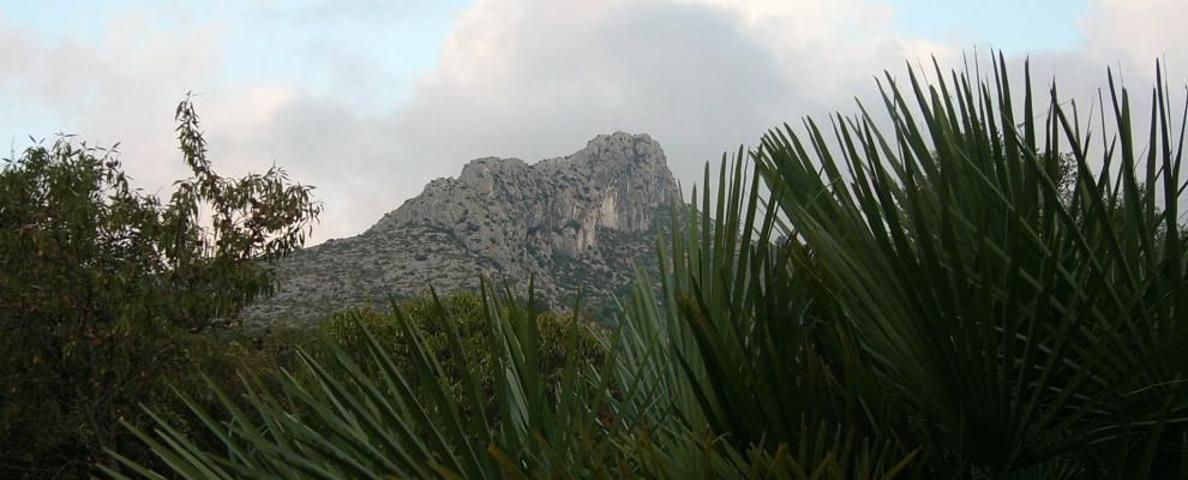 Terrenos Edificables En venta en Tormos photo 0