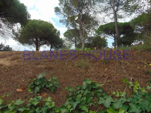 Terreno en venta en Urbanitzacions Terrabrava-Tordera Parc photo 0