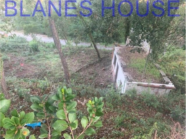 Terreno en venta en Maçanet de La Selva photo 0