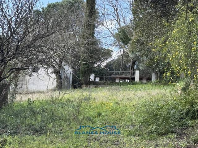 Venta de casa en Maçanet de la Selva photo 0