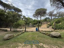 Finca rustica en venta en Can Nadal-Sant Pere photo 0