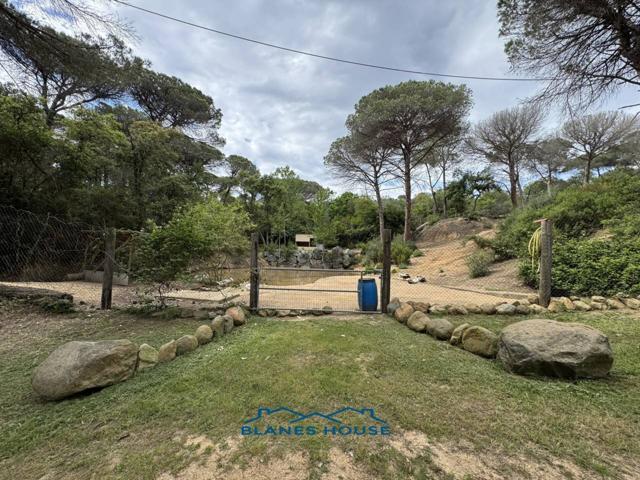 Finca rustica en venta en Can Nadal-Sant Pere photo 0