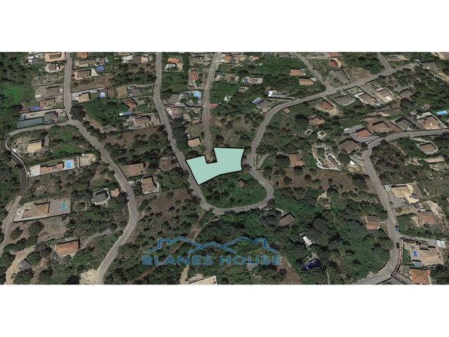 Terreno en venta en Maçanet de la Selva photo 0