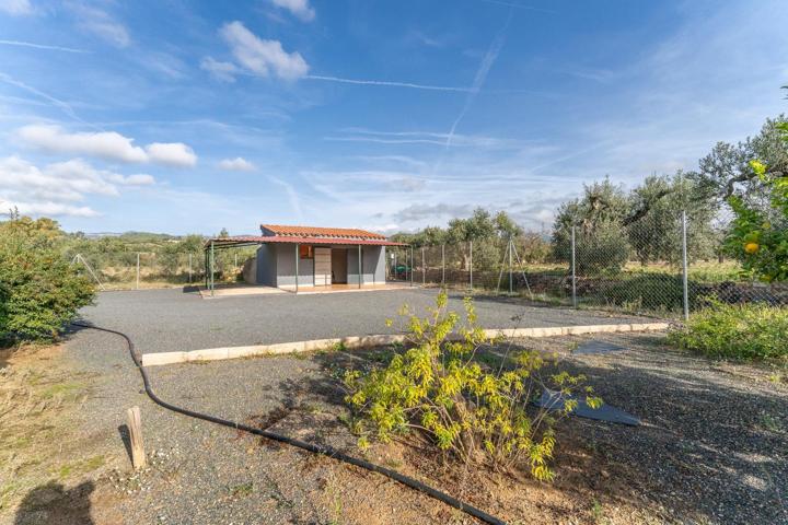 Parcela en venta en Mas de Comandi, Riudoms a 10 minutos en coche de Reus photo 0