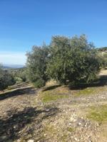 Terreno De Cultivo en Venta en Lucena, Córdoba photo 0