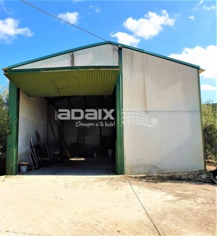 Terreno De Cultivo en Venta en Cabra, Córdoba photo 0