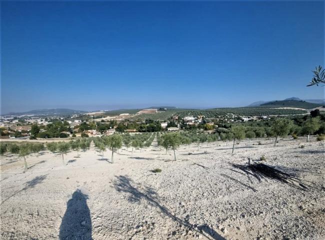 Finca Rústica en Venta en Lucena, Córdoba photo 0