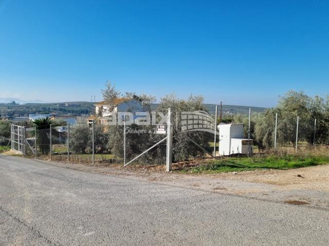 Finca Rústica en Venta en , Córdoba photo 0