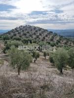 Terreno De Cultivo en Venta en Lucena, Córdoba photo 0
