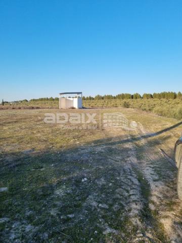 Finca Rústica en Venta en , Córdoba photo 0
