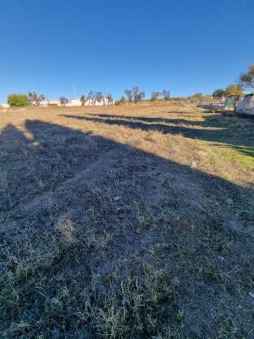 Finca Rústica en Venta en Lucena, Córdoba photo 0