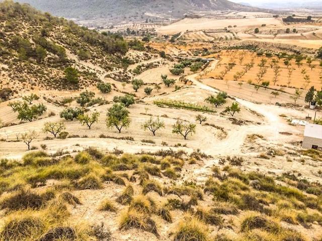 Casa Rústica en venta en Mula de 75000 m2 photo 0