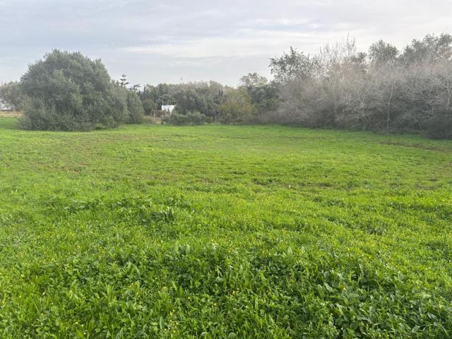 FINCA INDEPENDIENTE EN LA MUELA photo 0