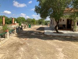 ESTUPENDA FINCA RUSTICA CON ESCRITURAS photo 0