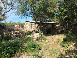 TERRENO RUSTICO CON BOYERA DE 21M2 CERCA DEL PUEBLO DE ALAIOR photo 0