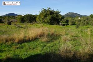 FINCA RUSTICA DE 3440 M2 NO EDIFICABLES EN ZONA DE GRAN BELLEZA, ENTRE SANTA MARÍA Y ALARÓ photo 0