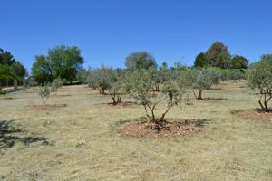 Casa - Chalet en venta en Villar de Cañas.-CASALONGA de 150 m2 photo 0