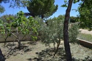 Casa - Chalet en venta en Villar de Cañas.-CASALONGA de 150 m2 photo 0