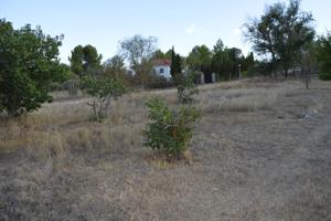 Terreno en venta en Villar de Cañas de 2500 m2 photo 0