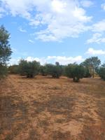 Terreno en venta en TARANCON de 1595 m2 photo 0