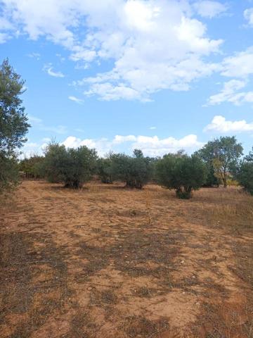 Terreno en venta en TARANCON de 1595 m2 photo 0
