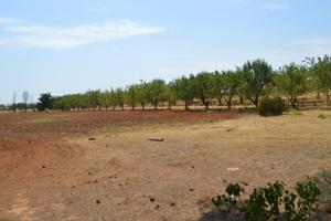 Terreno en venta en TAARANCON de 8200 m2 photo 0