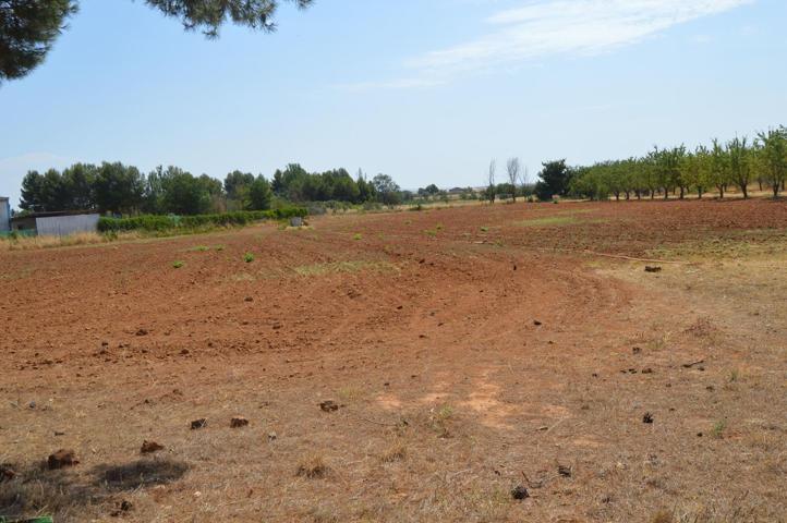 Terreno en venta en TAARANCON de 8200 m2 photo 0