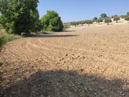 Terreno en venta en Santa Cruz de la Zarza de 11803 m2 photo 0