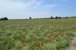 Finca Rústica en venta en Tarancón de 9295 m2 photo 0