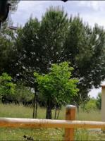 Casa - Chalet en venta en Villar de Cañas de 62 m2 photo 0