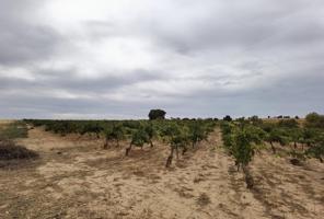 Terreno en venta en Fuente de Pedro Naharro de 81356 m2 photo 0
