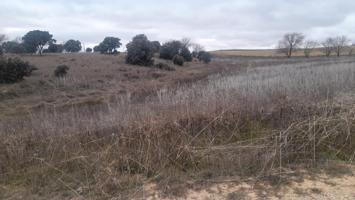 Terreno Casalonga photo 0