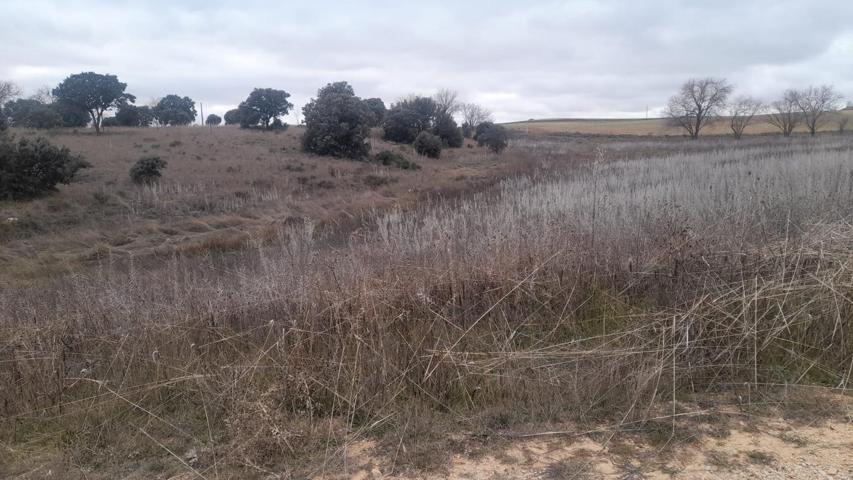 Terreno Casalonga photo 0