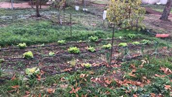 Casa - chalet en Camino del Guindo, Villar de Cañas photo 0