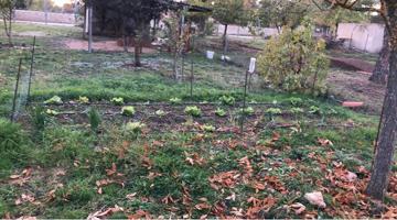 Casa - chalet en Camino del Guindo, Villar de Cañas photo 0