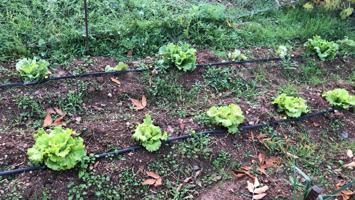 Casa - chalet en Camino del Guindo, Villar de Cañas photo 0