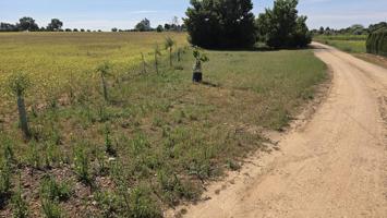 Casa - chalet en Los Majuelos, Tarancón photo 0