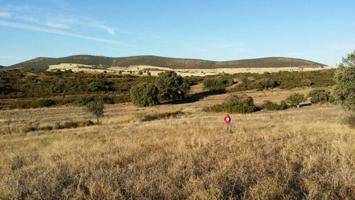 Finca de caza menor, Viso del Marqués, Ciudad Real. photo 0