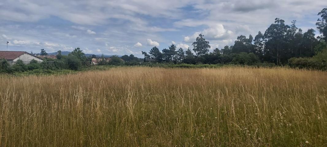 Terrenos Edificables En venta en Touro photo 0