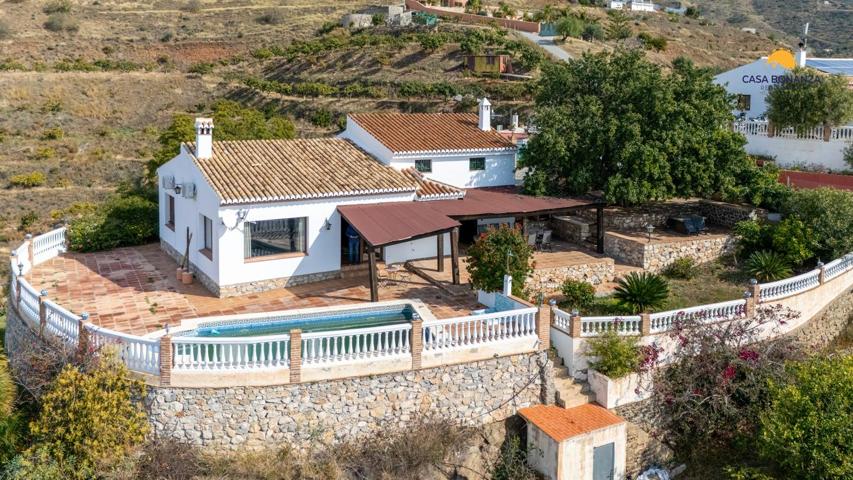 Encantadora villa con con un cultivo de mangos. photo 0