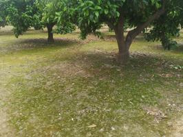 Otro En venta en Alzira photo 0