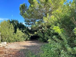 Terreno urbano de 3.400m² segregable junto al mar, Cala Martina - Urban land of 3.400m² segregable by the sea, Cala Martina photo 0